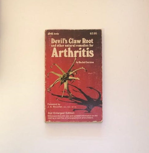 Devil's claw root and other natural remedies for arthritis - Rachel Carston