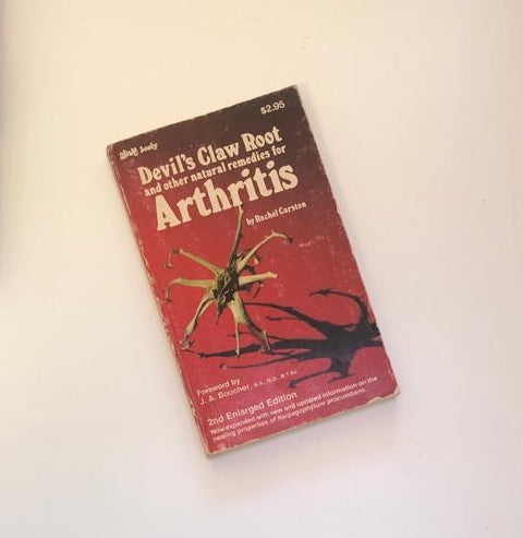 Devil's claw root and other natural remedies for arthritis - Rachel Carston