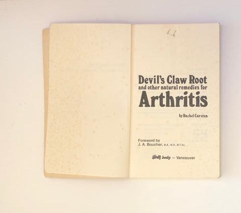 Devil's claw root and other natural remedies for arthritis - Rachel Carston