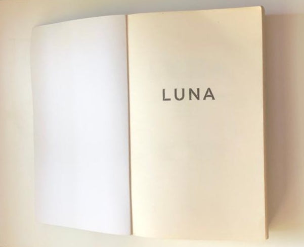 Luna: Moon rising - Ian McDonald