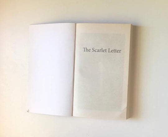 The scarlet letter - Nathaniel Hawthorne