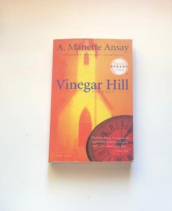 Vinegar hill - A. Manette Ansay