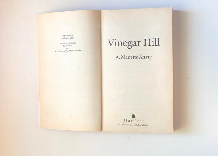 Vinegar hill - A. Manette Ansay