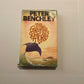 The girl of the Sea of Cortez - Peter Benchley (First edition)