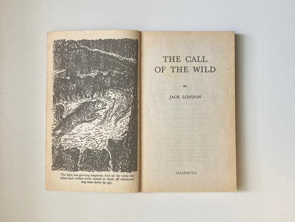 The call of the wild - Jack London