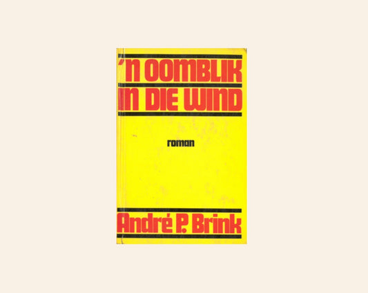 ’n Oomblik in die wind - André P. Brink