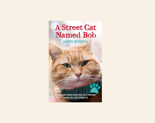 A street cat named Bob - James Bowen