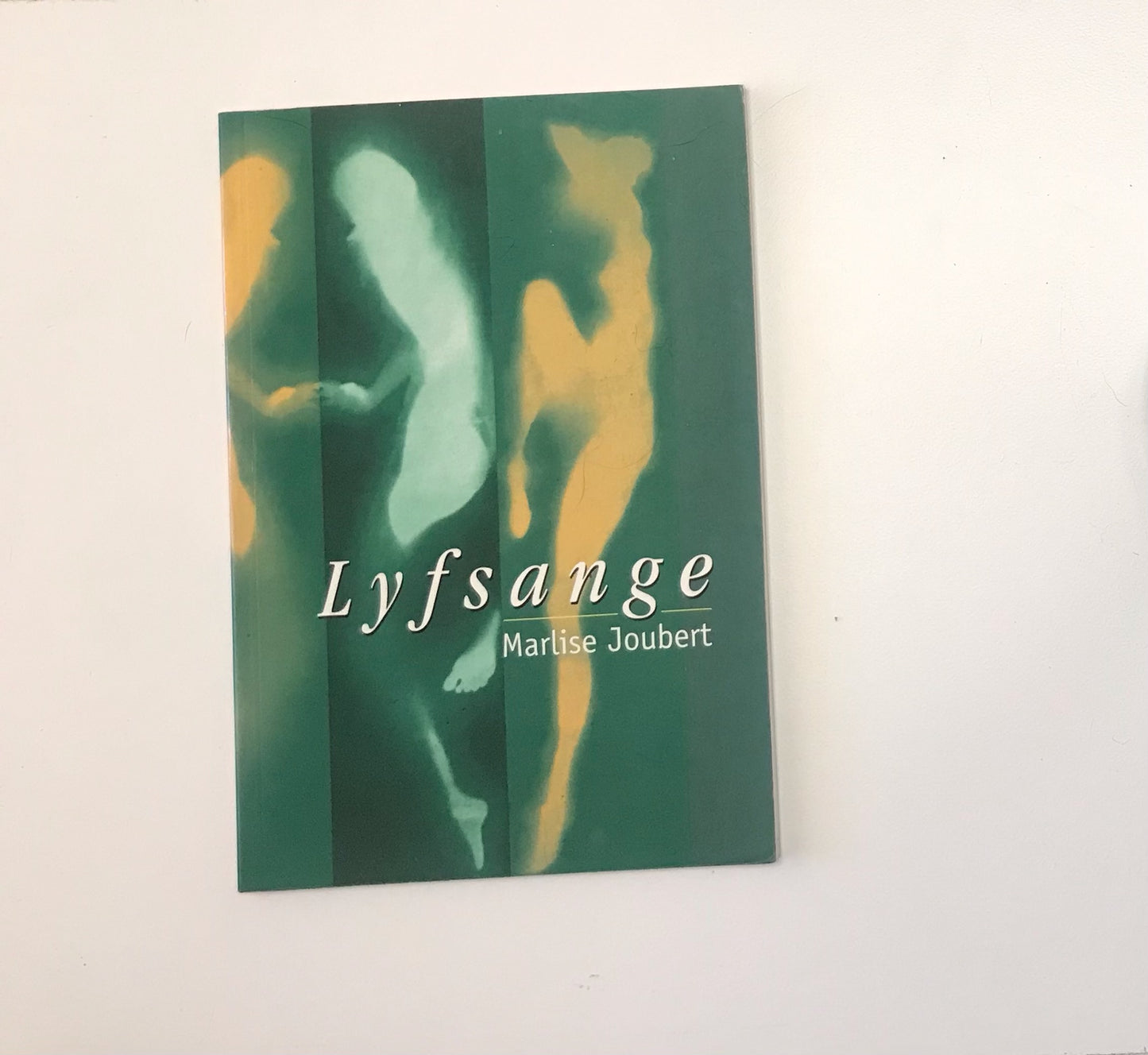 Lyfsange - Marlise Joubert