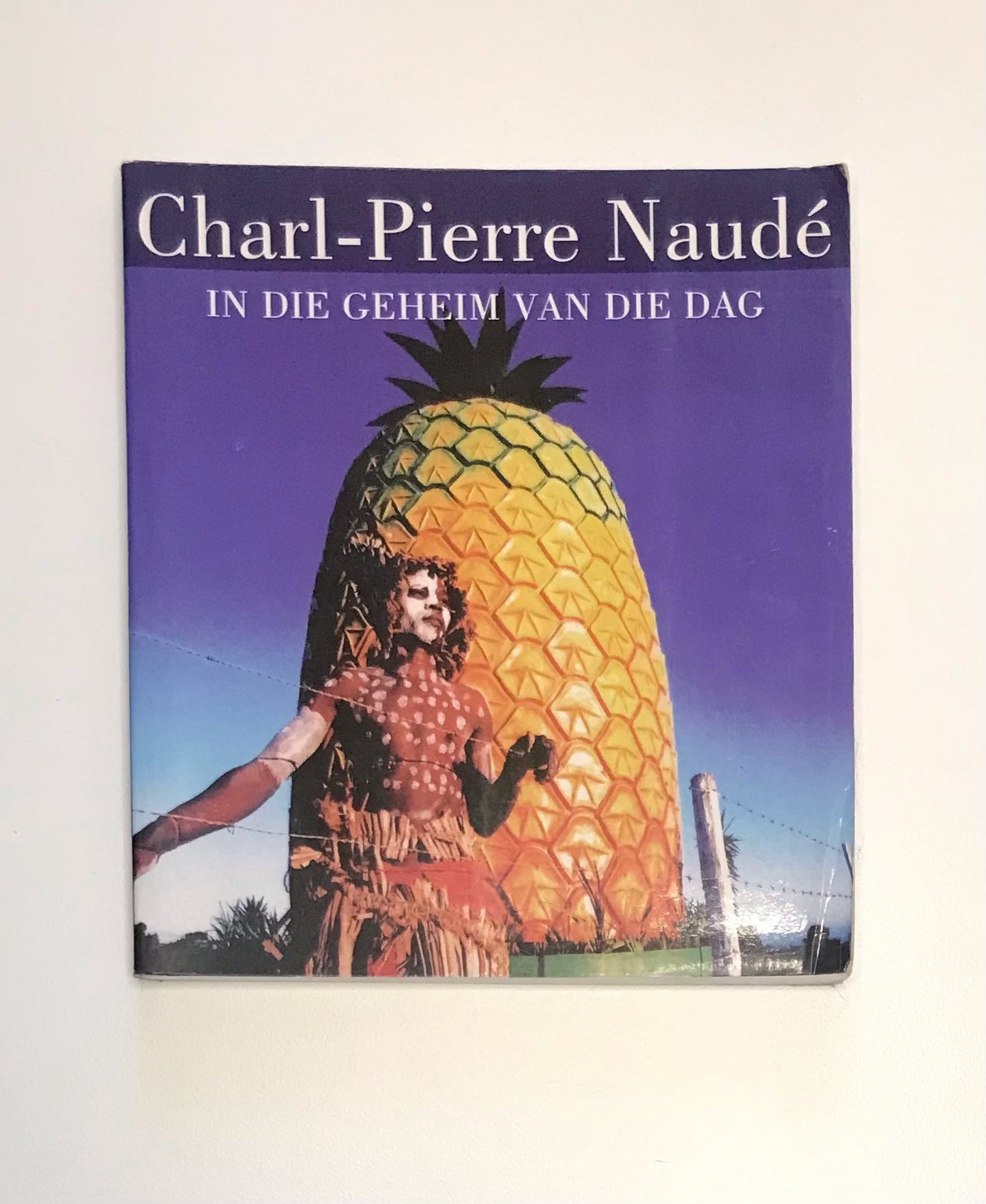 In die geheim van die dag - Charl-Pierre Naudé