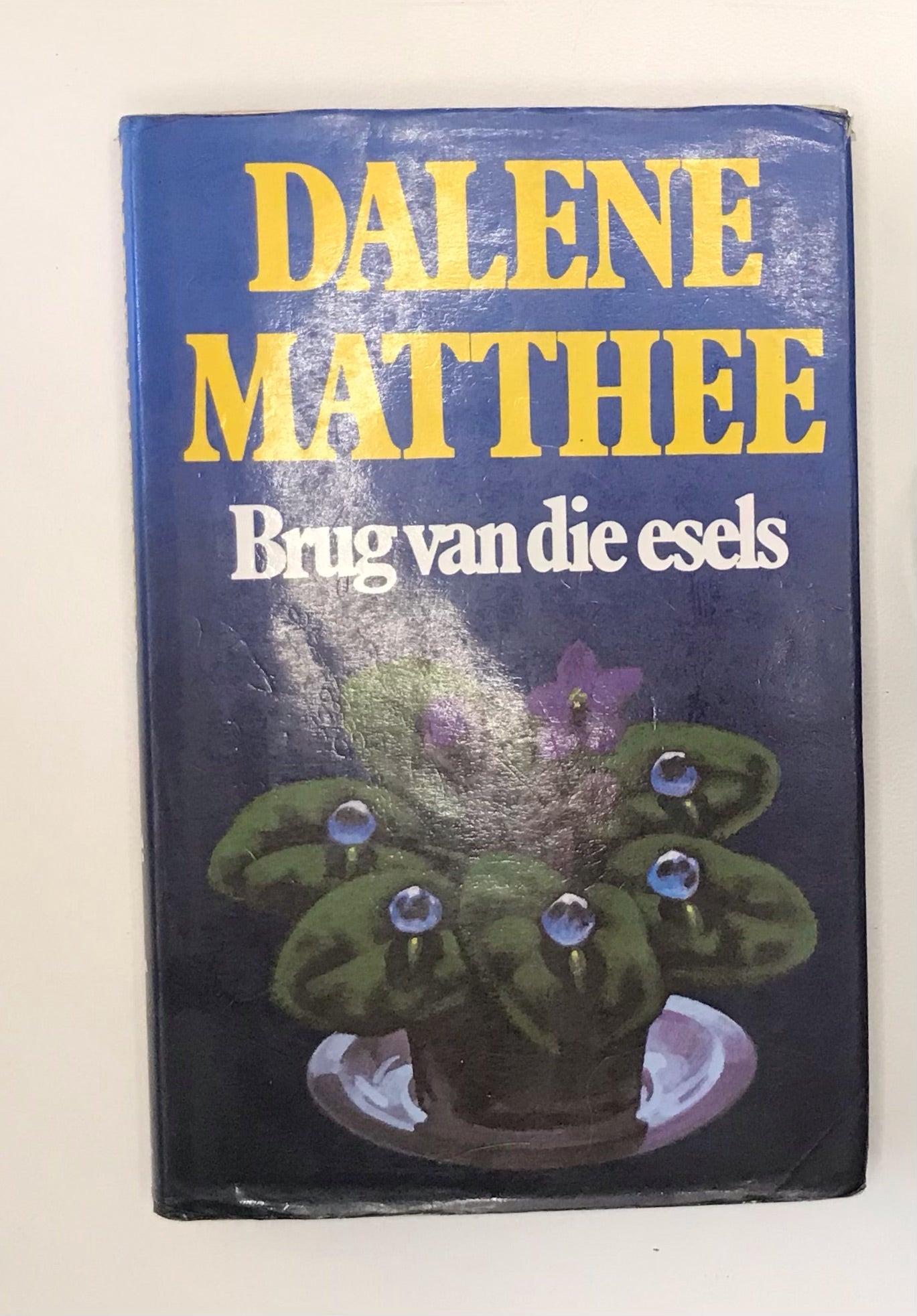 Brug van die esels - Dalene Matthee (First edition)