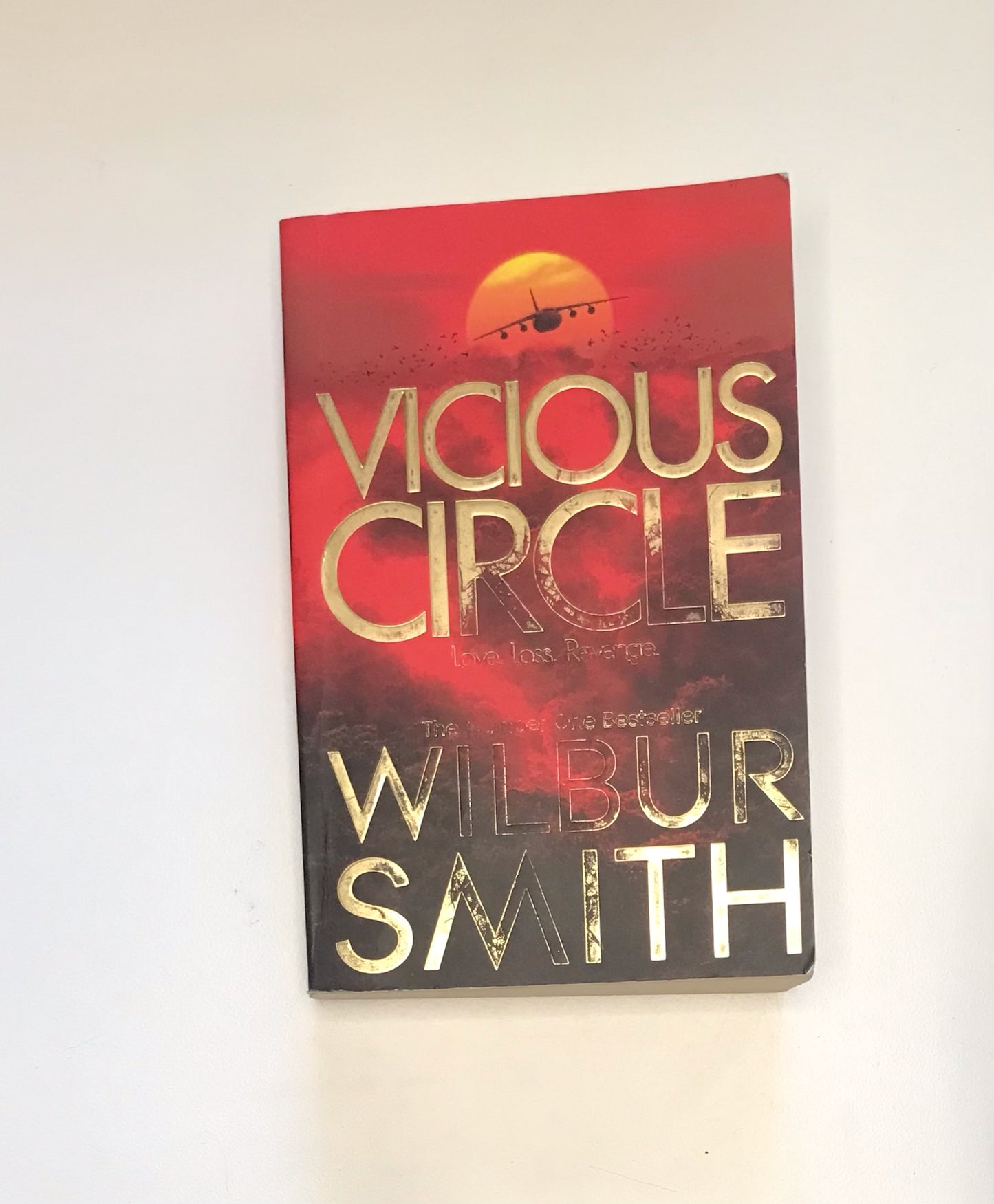 Vicious circle - Wilbur Smith (Hector Cross series #2)