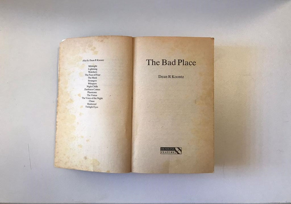 The bad place - Dean Koontz